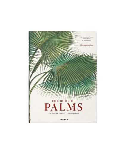 martius. the book of palms