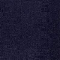 swatch_navy__toile